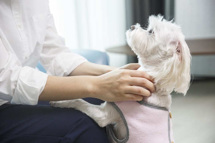 �ݷ����������� ���ɹ޴� ����