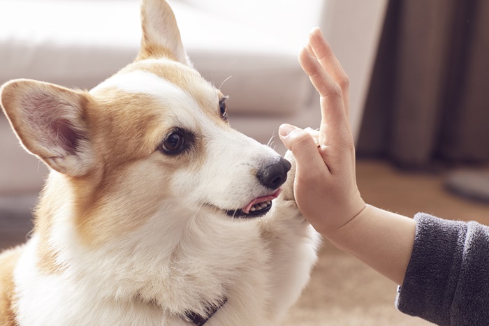 �ݷ��ܿ������1�� �����ı�