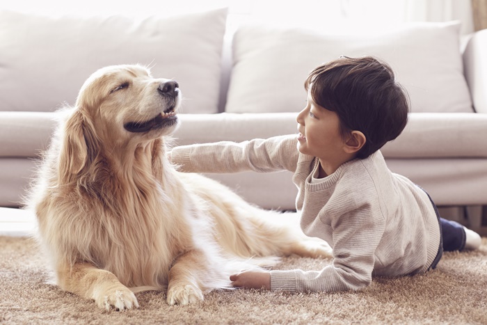 �ݷ��߿������1�� �н�����