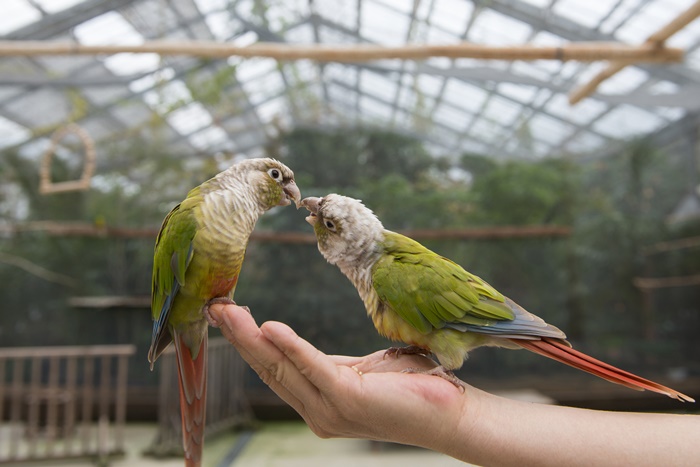 �ݷ��������� �����ı�