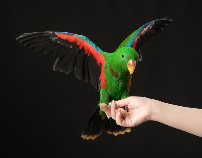 �ݷ���������1�� �н�����