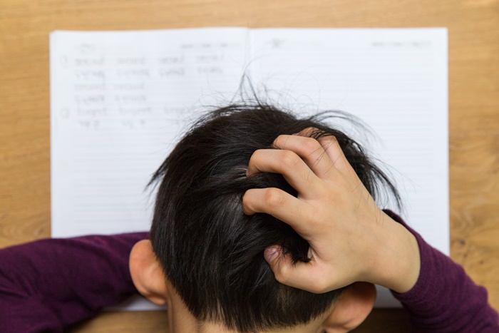 �Ƶ��ɸ�����2�� 100% ���ᱳ��