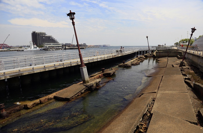 ����������1�� �¶��� ���ᱳ��