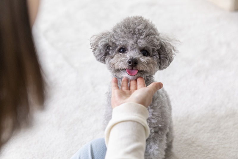 �ݷ��߿������1�� �ڰ��� ��û