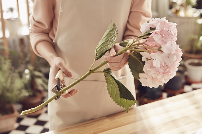 �÷θ���Ʈ �����Ұ�