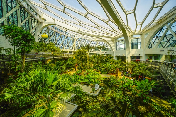 �ǳ�����������1