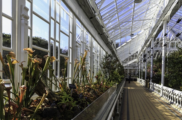 �ǳ����������� 6